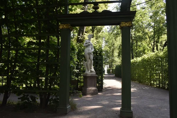 Een Park Een Plek Ontspannen Groene Bomen — Stockfoto