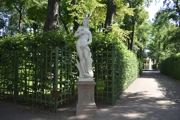 Parco Luogo Rilassarsi Alberi Verdi — Foto Stock