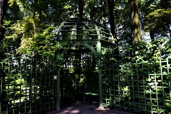 Parc Endroit Pour Détendre Des Arbres Verts — Photo