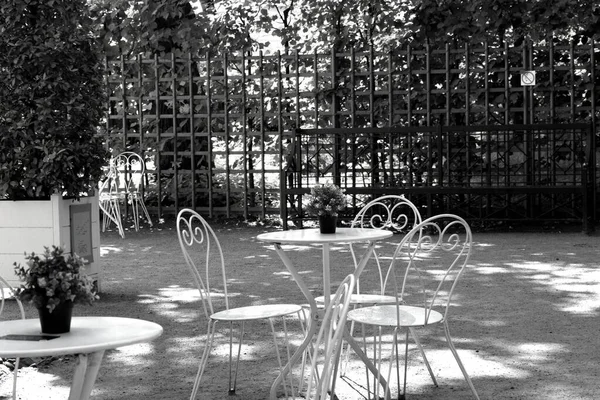 Parque Lugar Para Recreação Caminhada — Fotografia de Stock