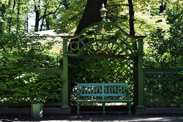 Parque Lugar Para Recreação Caminhada — Fotografia de Stock