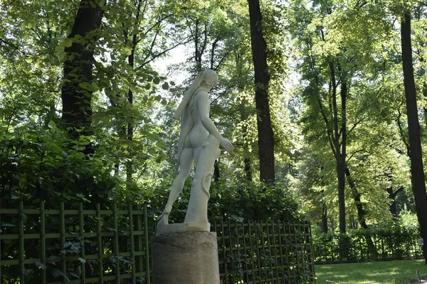 Een Park Een Plek Ontspannen Groene Bomen — Stockfoto