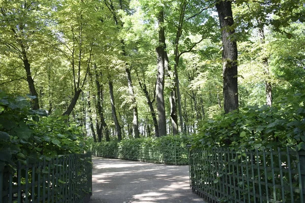 Parque Lugar Para Pessoas Relaxarem Árvores Verdes — Fotografia de Stock