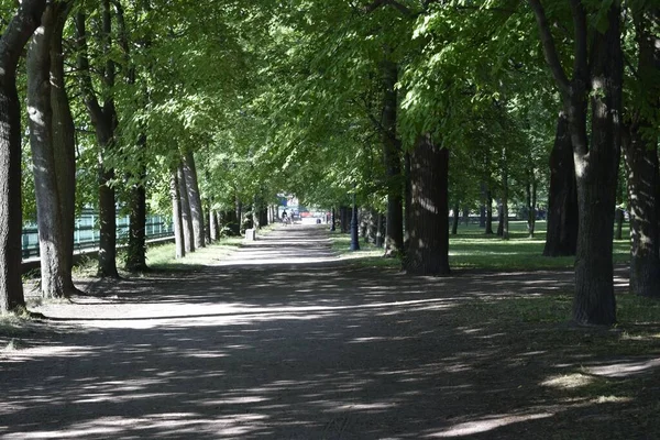 Park Miejski Letni Słoneczny Dzień — Zdjęcie stockowe