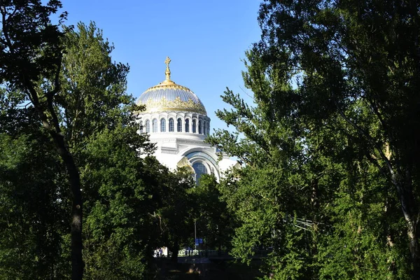 City Park Summer Sunny Day — Stock Photo, Image