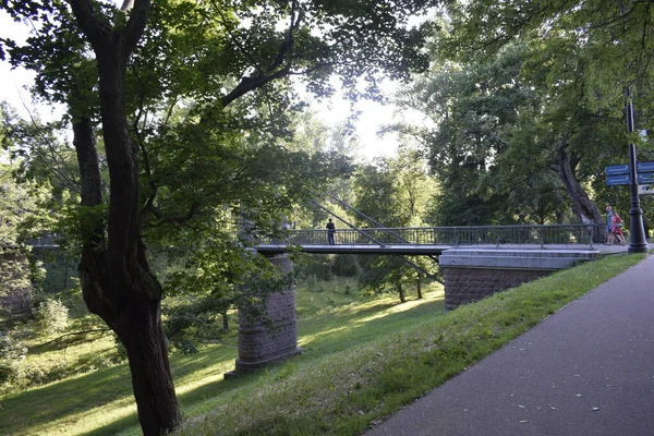 Ponte Ferro Sul Fiume — Foto Stock