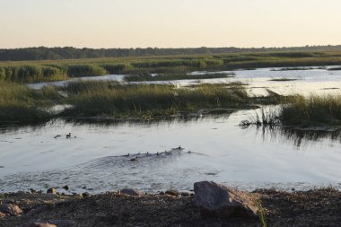 Gölde gün batımı, gölde akşam.