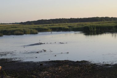 Gölde gün batımı, gölde akşam.