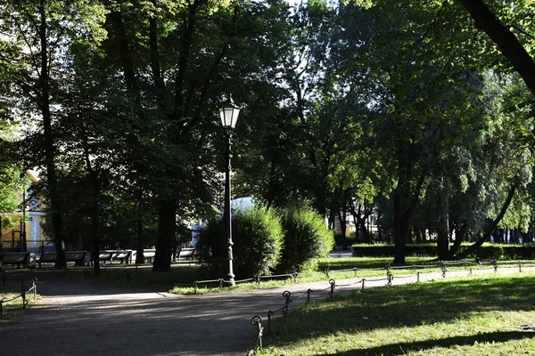 城市街道 城市里夏天的一天 — 图库照片