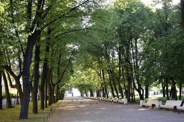 Parque Cidade Lugar Para Pessoas Relaxarem — Fotografia de Stock