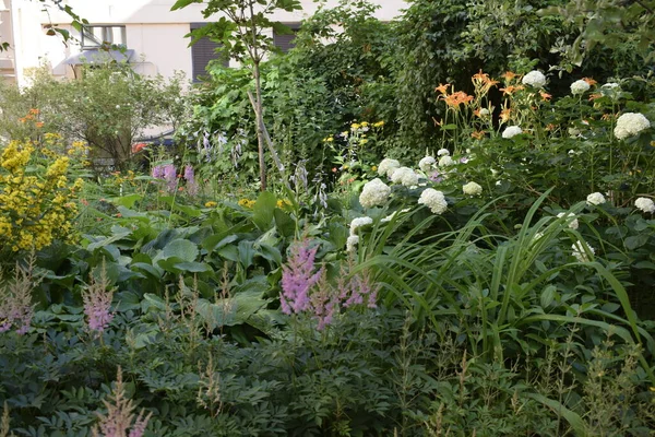 Parterres Fleurs Dans Rue — Photo