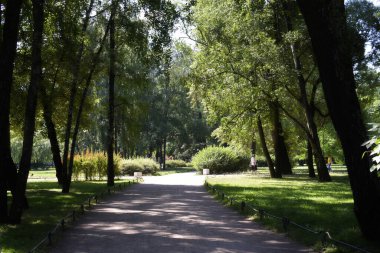 Bir park, insanların dinlenebileceği ve yürüyebileceği bir yer.