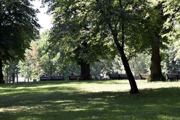 Parque Lugar Para Que Gente Relaje Camine — Foto de Stock