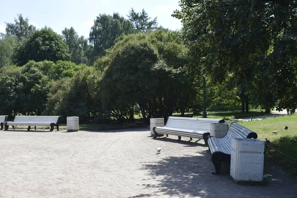 Ein Park Ein Ort Zum Entspannen Und Spazieren Gehen — Stockfoto