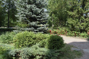 Parktaki çiçek tarhı