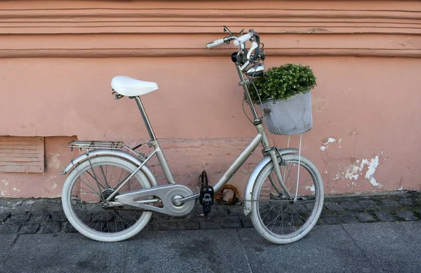 花のバスケットを持った自転車 — ストック写真