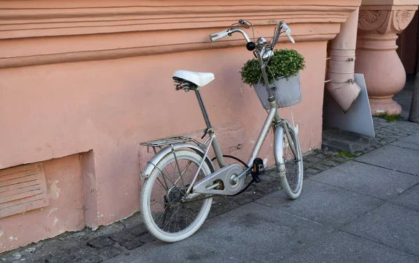Велосипед Корзиной Цветов — стоковое фото
