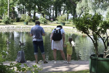 Parkın peyzaj tasarımı