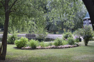 Parkın peyzaj tasarımı