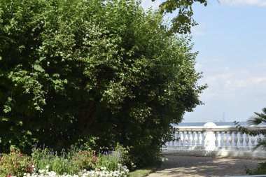 Parkın peyzaj tasarımı