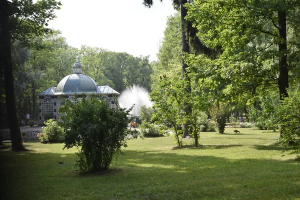 Parkın Peyzaj Tasarımı — Stok fotoğraf