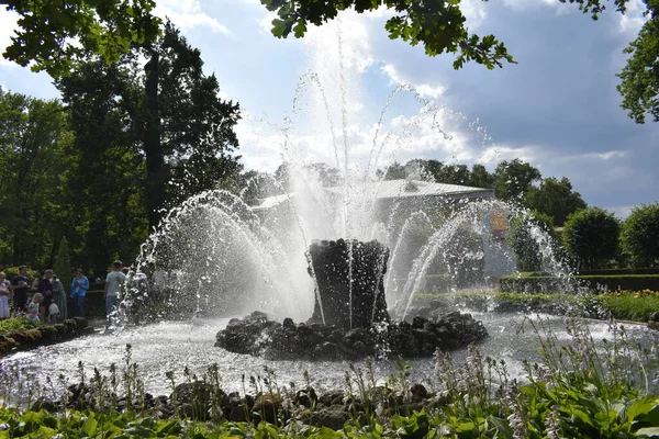 Diseño Del Paisaje Parque — Foto de Stock