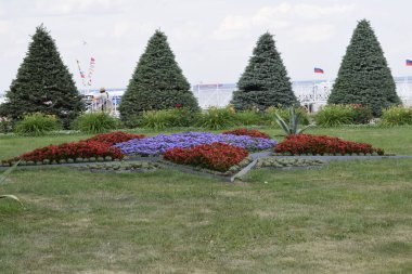 Parkın peyzaj tasarımı