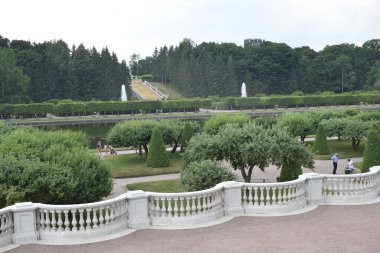 Parkın peyzaj tasarımı