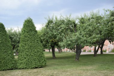 Parkın peyzaj tasarımı