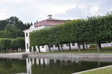 Parkın peyzaj tasarımı