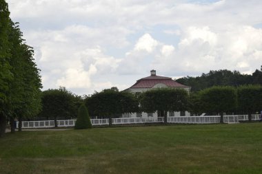 Parkın peyzaj tasarımı