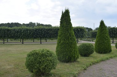Parkın peyzaj tasarımı