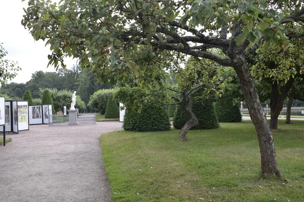 Landskapsarkitektur Parken — Stockfoto