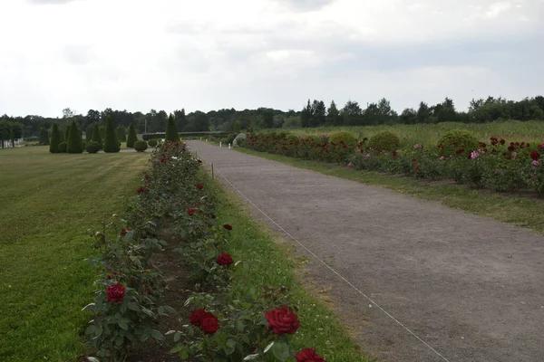 Landskapsarkitektur Parken — Stockfoto