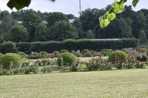 Landskapsarkitektur Parken — Stockfoto