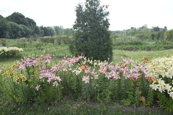 Aménagement Paysager Dans Parc — Photo