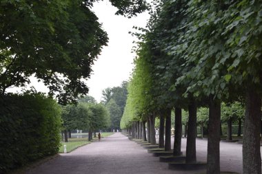 Yürümek ve dinlenmek için bir park