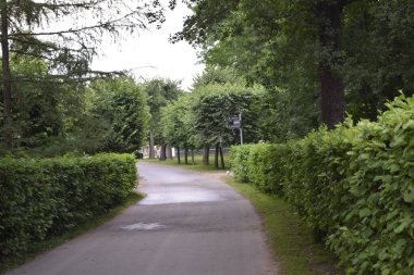 Yürümek ve dinlenmek için bir park