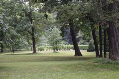 Yürümek ve dinlenmek için bir park