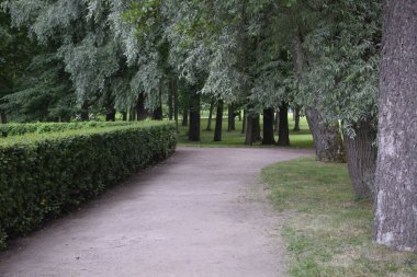 Yürümek ve dinlenmek için bir park