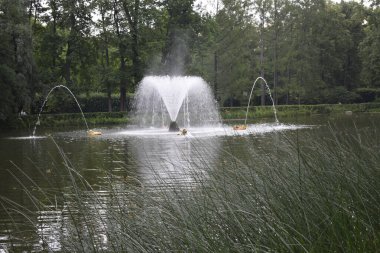 Parktaki çeşme, manzara tasarımı.