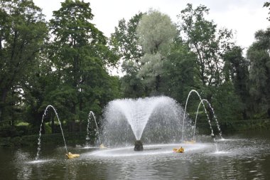 Parktaki çeşme, manzara tasarımı.