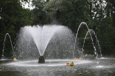 Parktaki çeşme, manzara tasarımı.