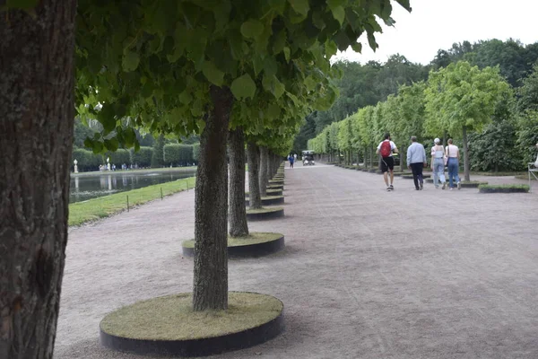 Yürümek Dinlenmek Için Bir Park — Stok fotoğraf