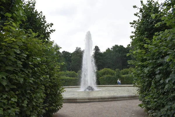 Fontaine Dans Parc Aménagement Paysager — Photo