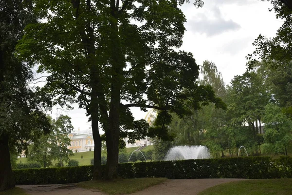 Fontän Parken Landskap Design — Stockfoto