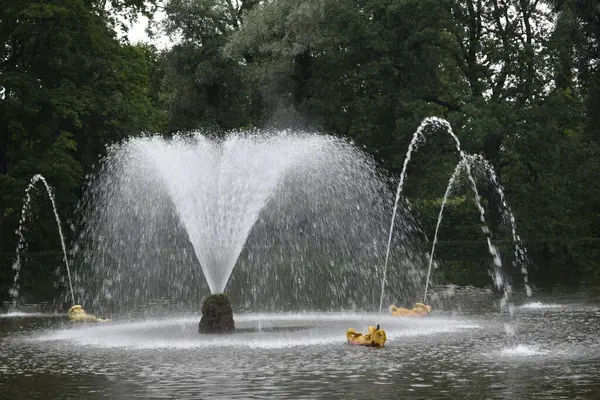 Parktaki çeşme, manzara tasarımı.