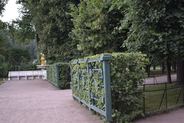 Parque Para Caminhadas Recreação — Fotografia de Stock