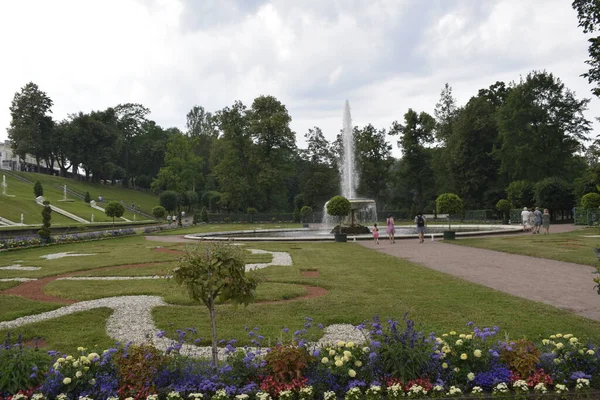 Landschap Ontwerp Het Park — Stockfoto