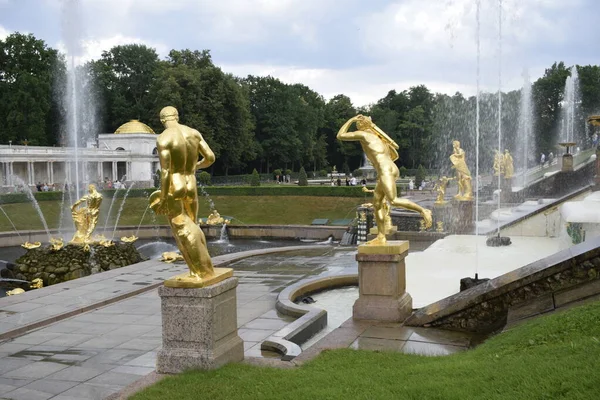 Fontaine Dans Parc Aménagement Paysager — Photo